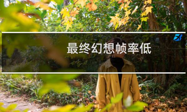 最终幻想帧率低