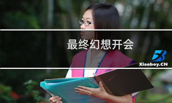 最终幻想开会
