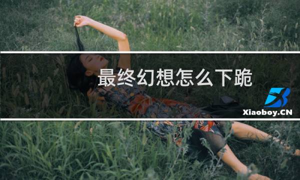 最终幻想怎么下跪