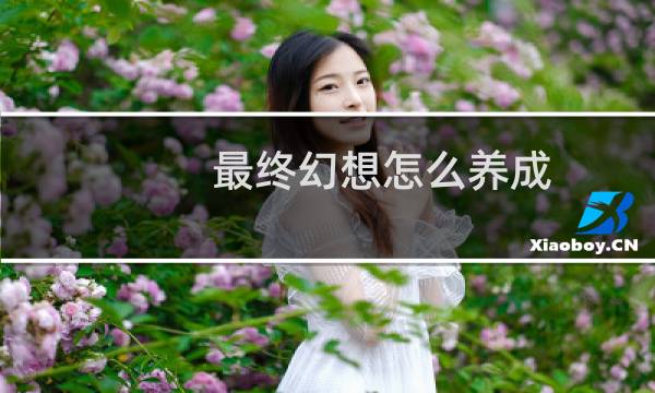 最终幻想怎么养成