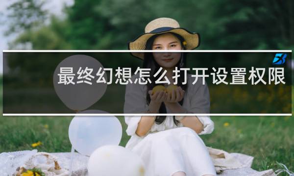 最终幻想怎么打开设置权限