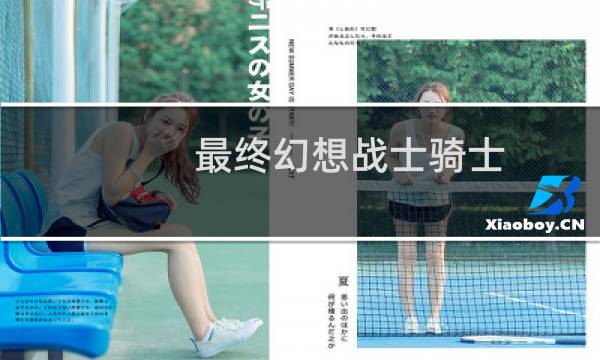 最终幻想战士骑士