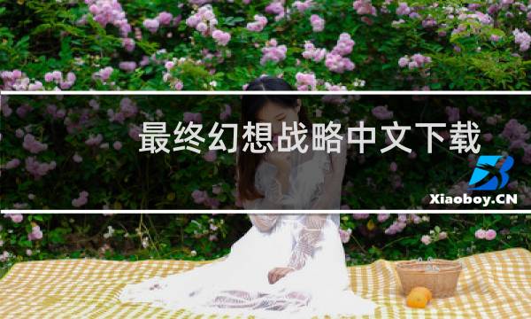 最终幻想战略中文下载
