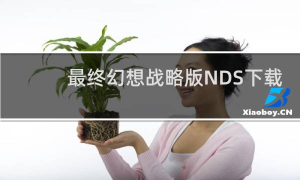 最终幻想战略版NDS下载