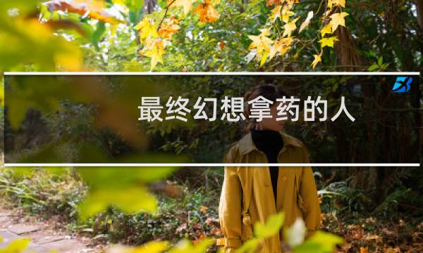 最终幻想拿药的人