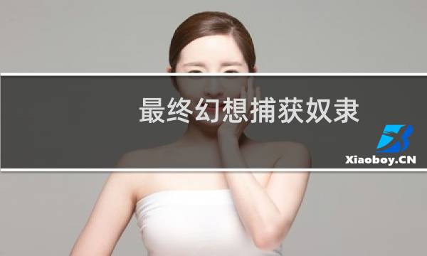 最终幻想捕获奴隶