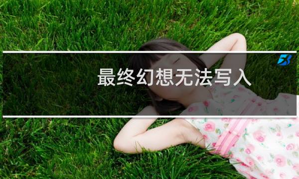 最终幻想无法写入
