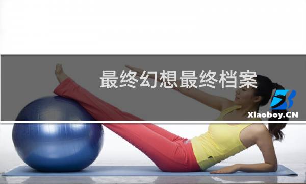 最终幻想最终档案