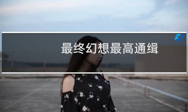 最终幻想最高通缉
