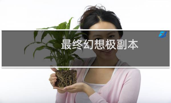 最终幻想极副本