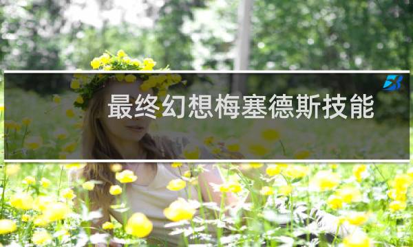 最终幻想梅塞德斯技能