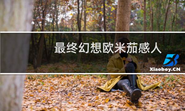 最终幻想欧米茄感人