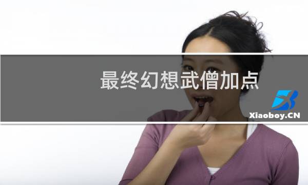 最终幻想武僧加点