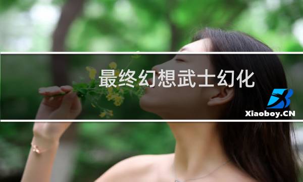 最终幻想武士幻化