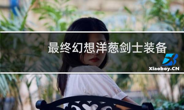 最终幻想洋葱剑士装备