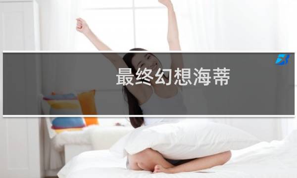 最终幻想海蒂