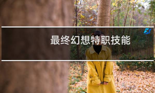 最终幻想特职技能