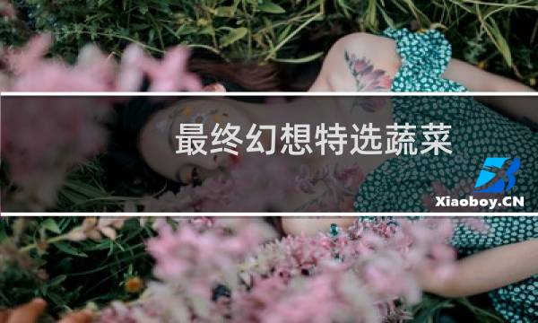最终幻想特选蔬菜