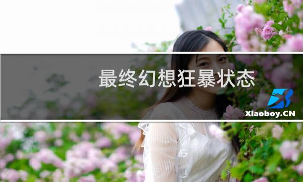 最终幻想狂暴状态