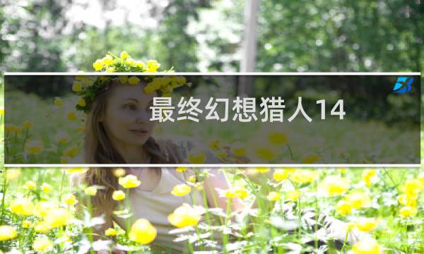 最终幻想猎人14