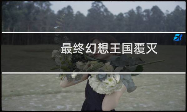 最终幻想王国覆灭