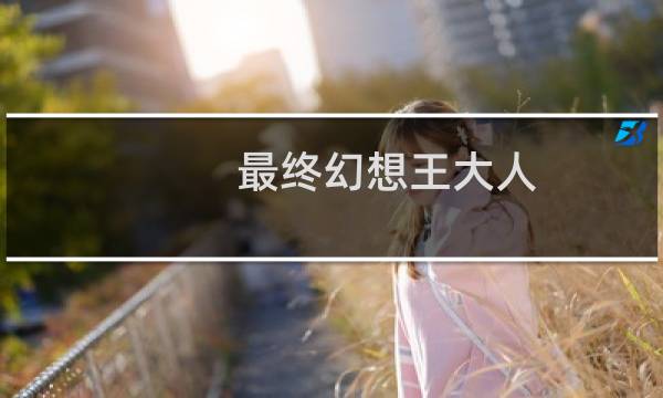 最终幻想王大人