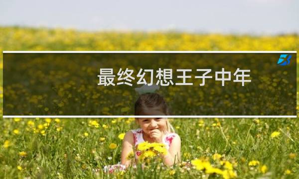 最终幻想王子中年