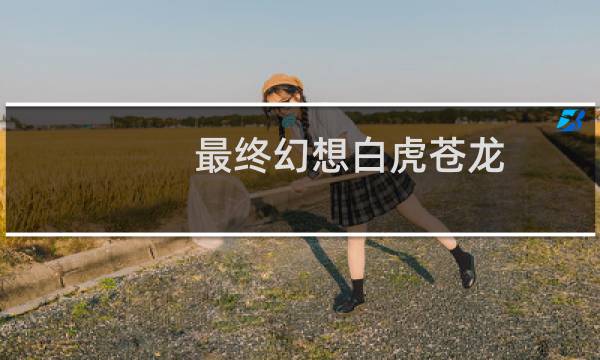 最终幻想白虎苍龙