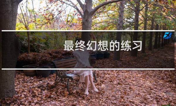 最终幻想的练习