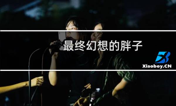 最终幻想的胖子