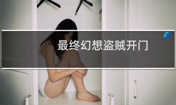 最终幻想盗贼开门