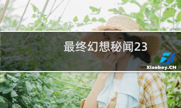 最终幻想秘闻23