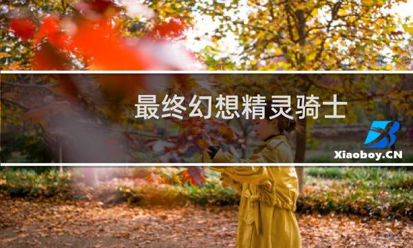 最终幻想精灵骑士