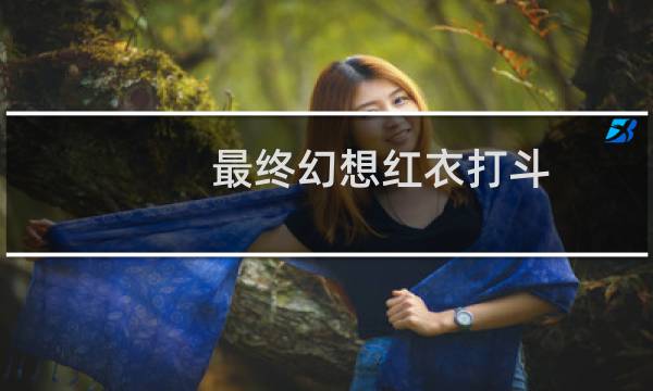 最终幻想红衣打斗