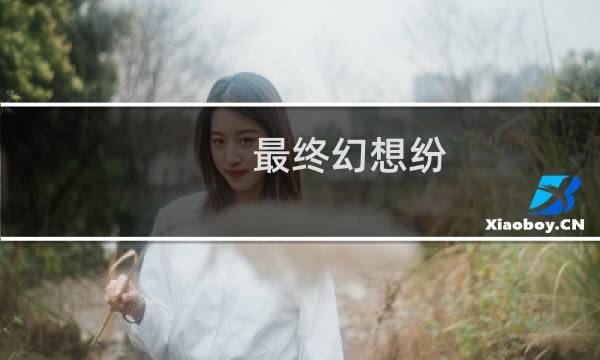 最终幻想纷 13代最终BOSS