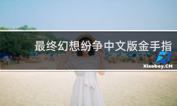 最终幻想纷争中文版金手指