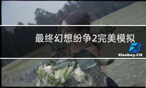 最终幻想纷争2完美模拟