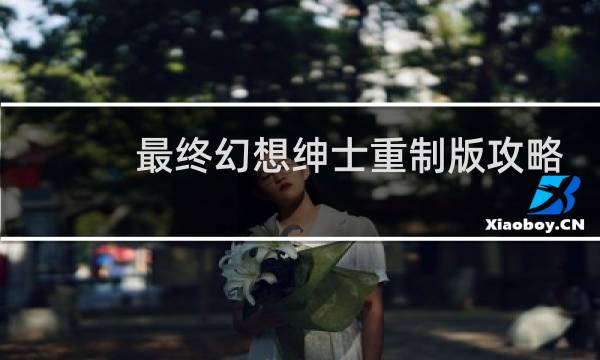 最终幻想绅士重制版攻略