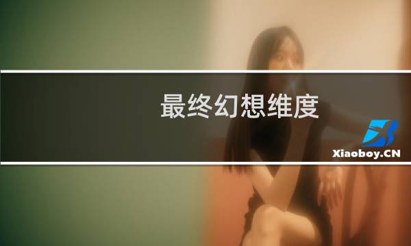 最终幻想维度 猎人