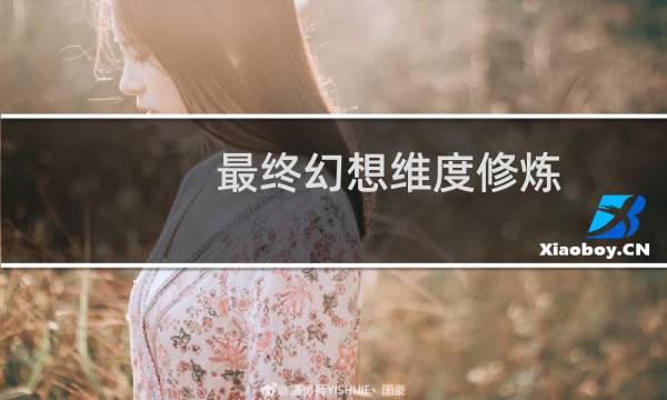 最终幻想维度修炼