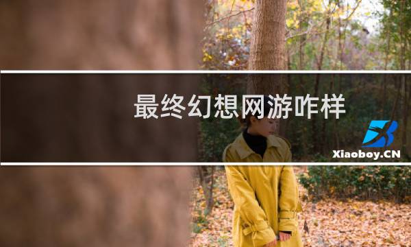 最终幻想网游咋样