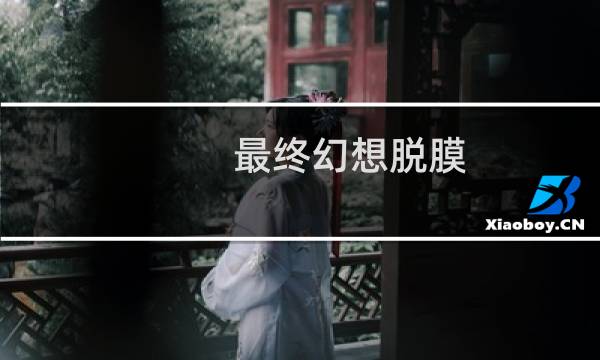最终幻想脱膜