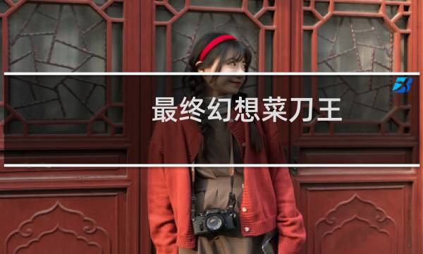 最终幻想菜刀王