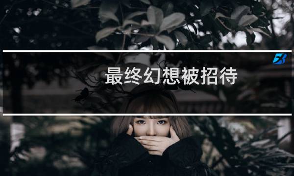 最终幻想被招待