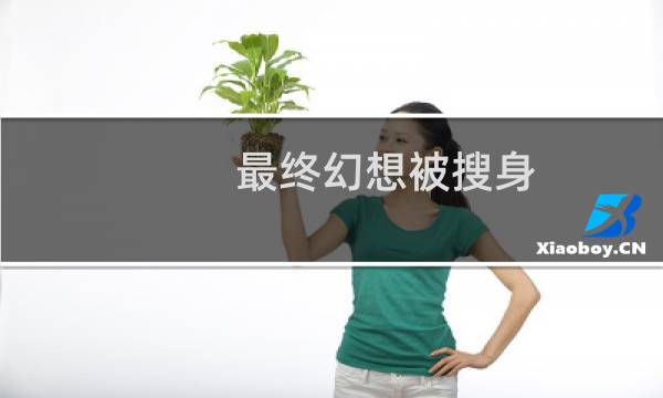 最终幻想被搜身