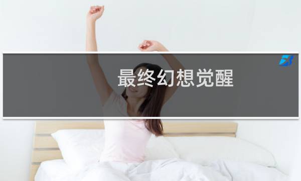 最终幻想觉醒 冷清