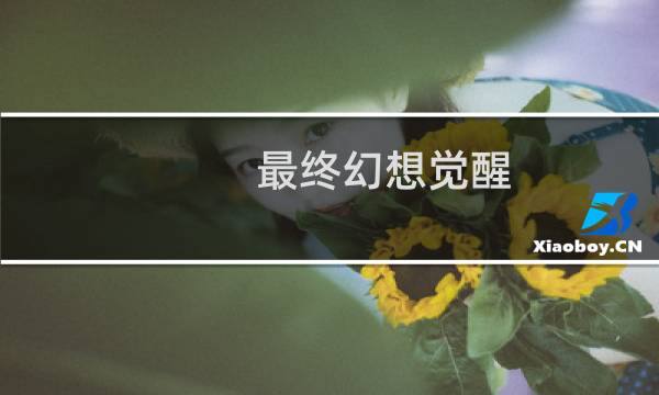 最终幻想觉醒 官服