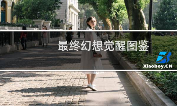 最终幻想觉醒图鉴