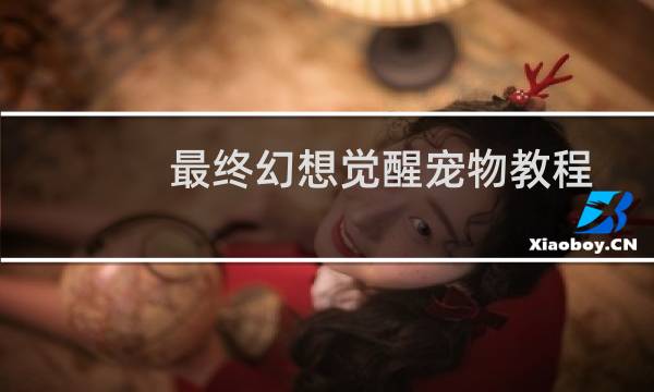 最终幻想觉醒宠物教程
