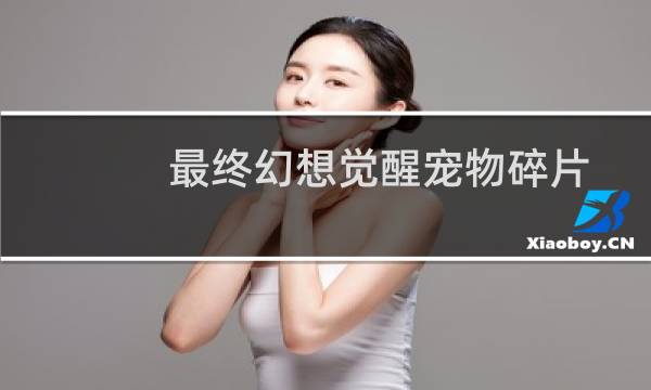 最终幻想觉醒宠物碎片